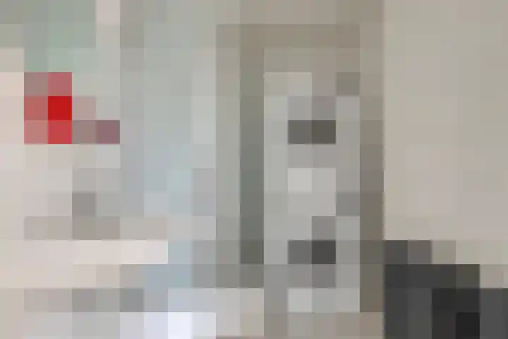 Schipluidenlaan 211 Tilburg thumbnail 31