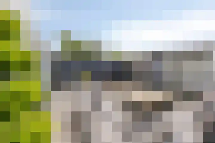 Schipluidenlaan 211 Tilburg thumbnail 35