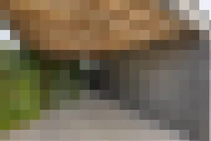 Schipluidenlaan 211 Tilburg thumbnail 36