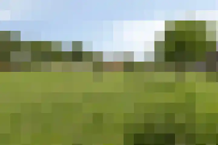 Schipluidenlaan 211 Tilburg thumbnail 38