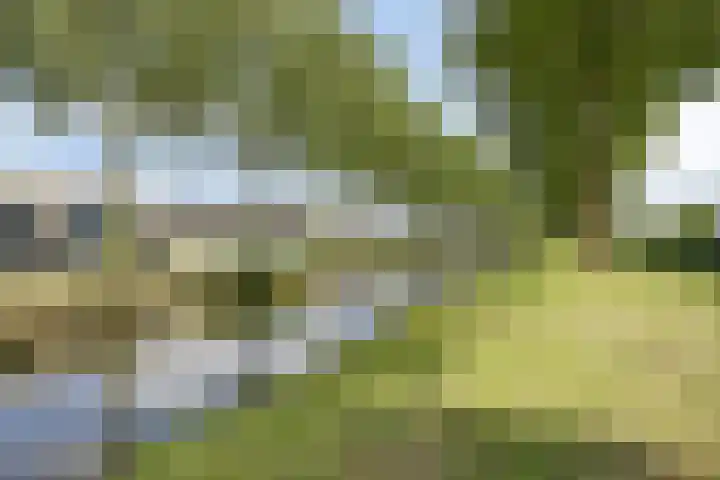 Schipluidenlaan 211 Tilburg thumbnail 39