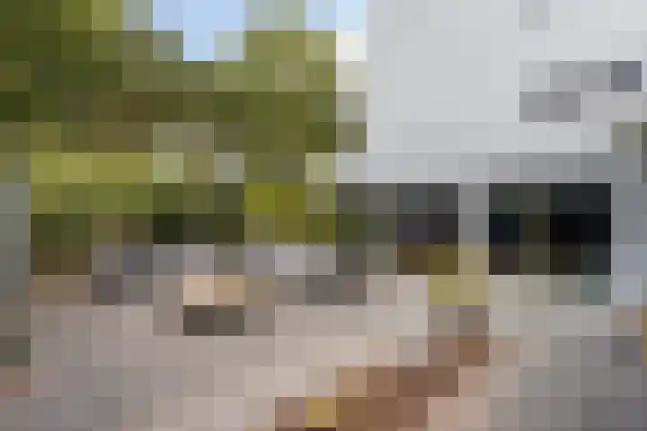 Schipluidenlaan 211 Tilburg thumbnail 4