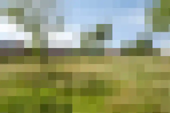 Schipluidenlaan 211 Tilburg thumbnail 40