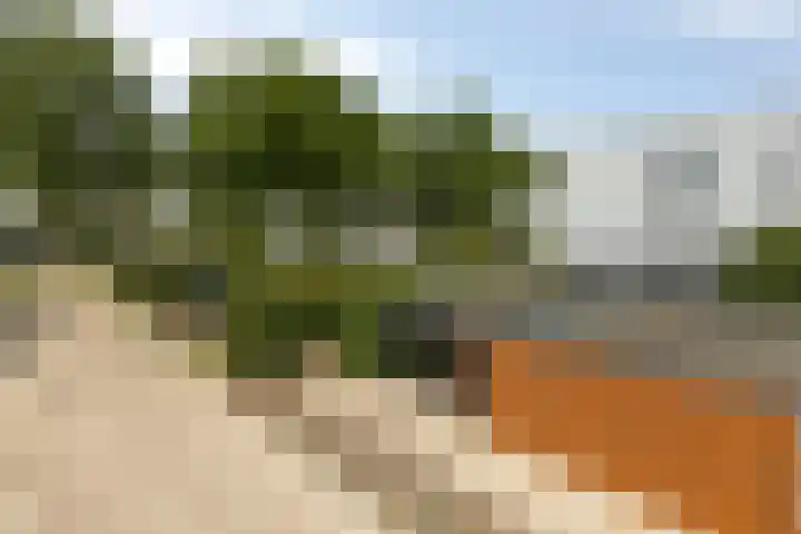 Schipluidenlaan 211 Tilburg thumbnail 5