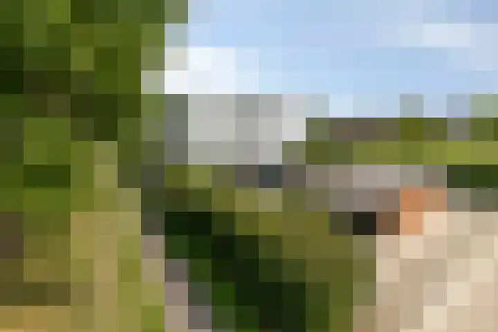 Schipluidenlaan 211 Tilburg thumbnail 7
