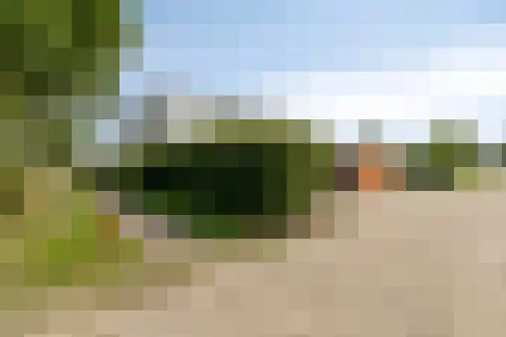 Schipluidenlaan 211 Tilburg thumbnail 8