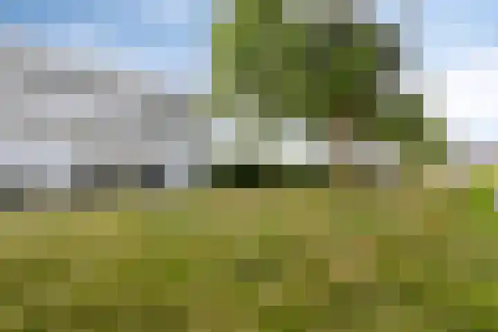 Schipluidenlaan 211 Tilburg thumbnail 9