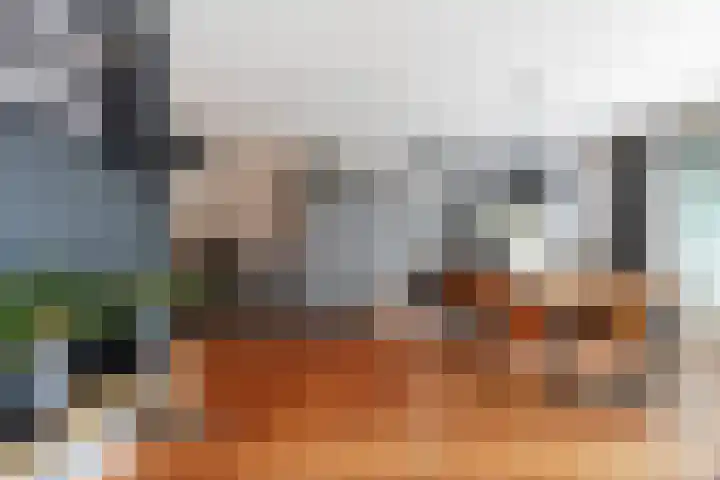 Schipluidenlaan 215 Tilburg thumbnail 12