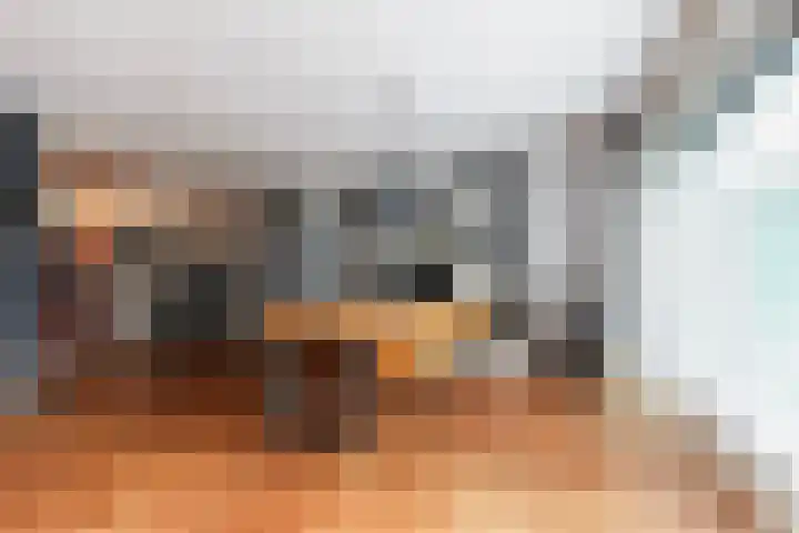 Schipluidenlaan 215 Tilburg thumbnail 19