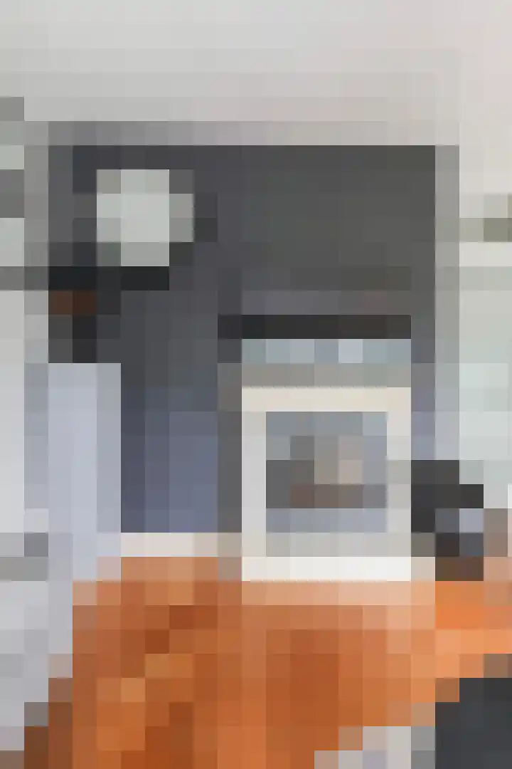 Schipluidenlaan 215 Tilburg thumbnail 20