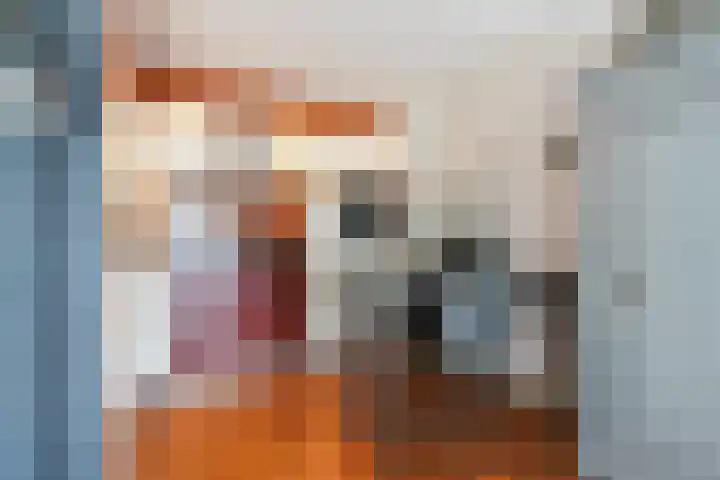 Schipluidenlaan 215 Tilburg thumbnail 24