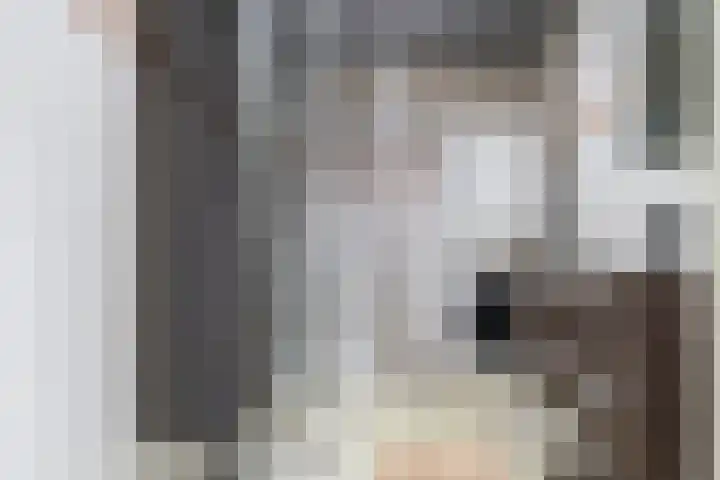 Schipluidenlaan 215 Tilburg thumbnail 46