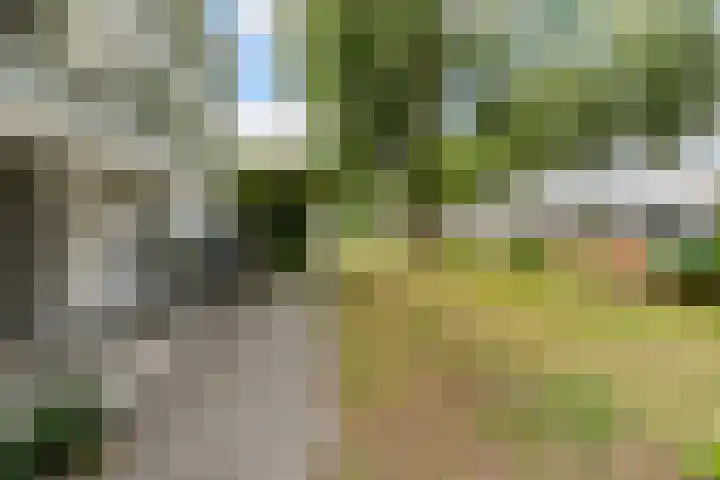 Schipluidenlaan 215 Tilburg thumbnail 5