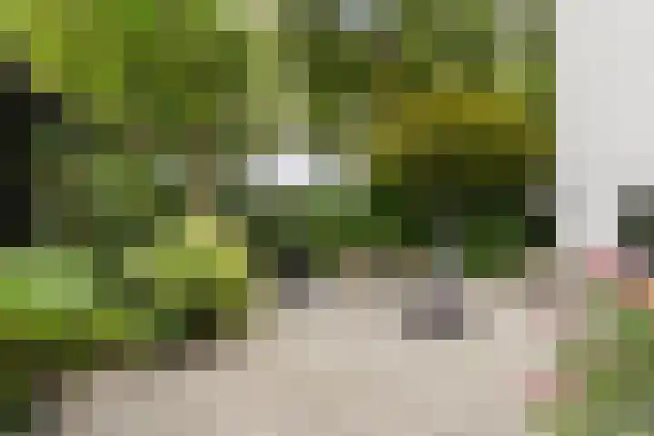 Schipluidenlaan 215 Tilburg thumbnail 50