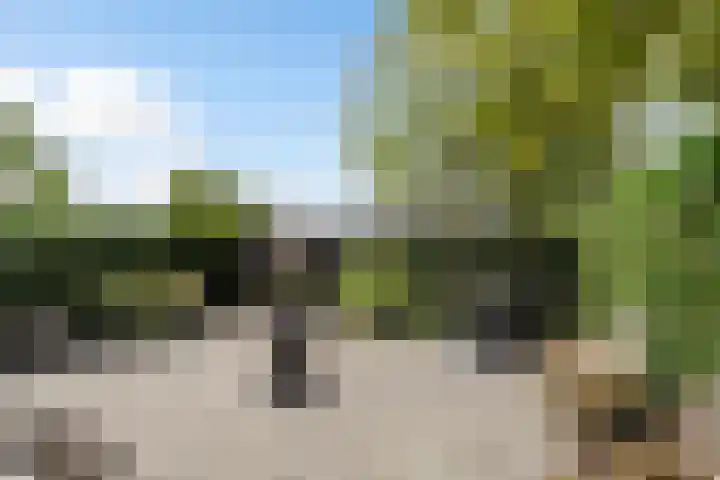 Schipluidenlaan 215 Tilburg thumbnail 51