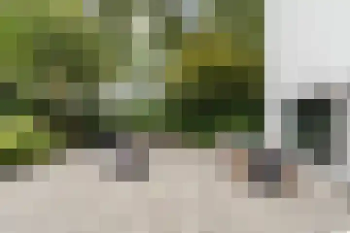 Schipluidenlaan 215 Tilburg thumbnail 55