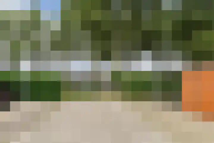 Schipluidenlaan 215 Tilburg thumbnail 56
