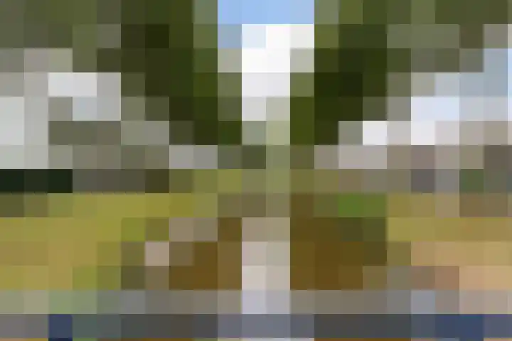 Schipluidenlaan 215 Tilburg thumbnail 58