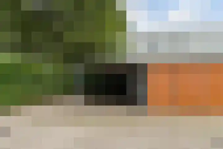 Schipluidenlaan 215 Tilburg thumbnail 6