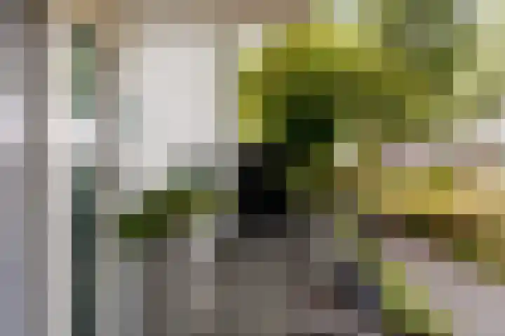 Schipluidenlaan 215 Tilburg thumbnail 7