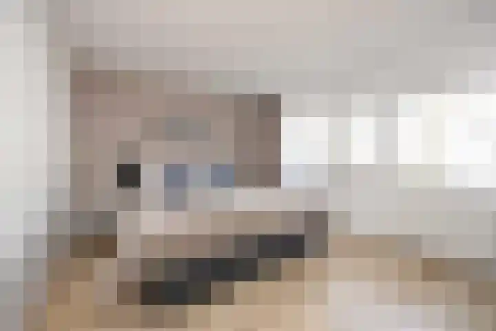 Schipluidenlaan 227 Tilburg thumbnail 10
