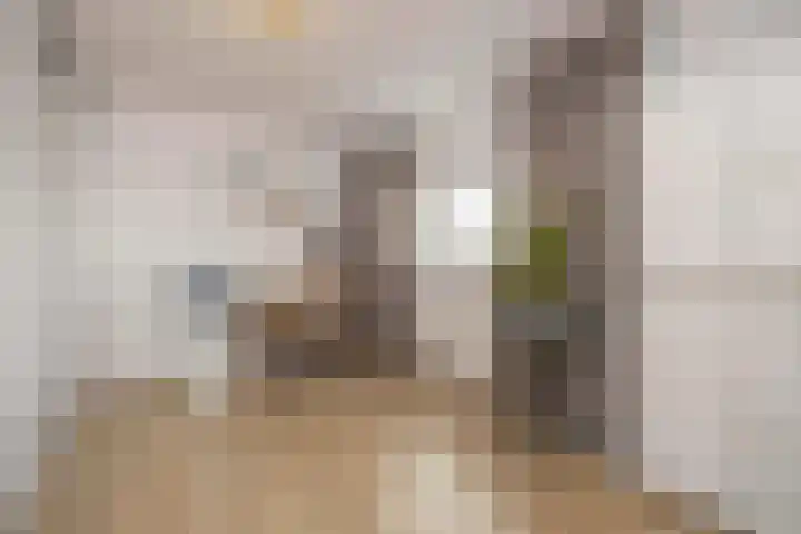 Schipluidenlaan 227 Tilburg thumbnail 13