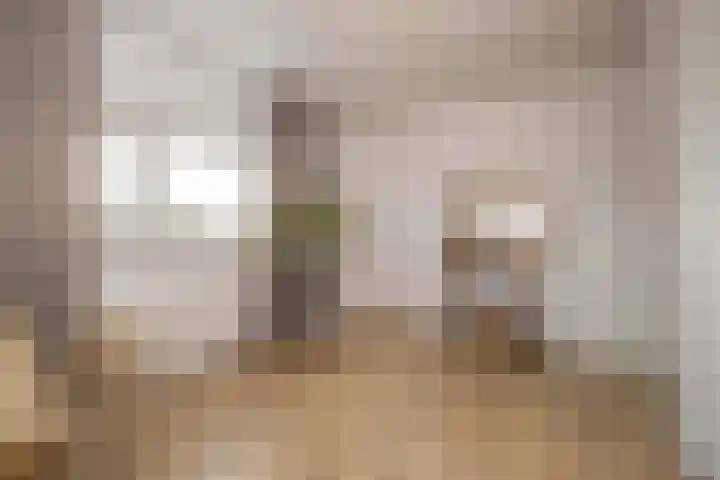 Schipluidenlaan 227 Tilburg thumbnail 14