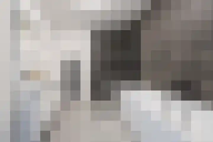 Schipluidenlaan 227 Tilburg thumbnail 15