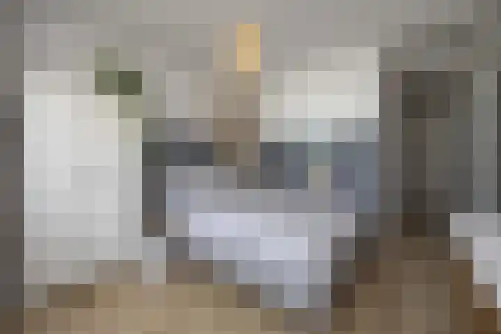 Schipluidenlaan 227 Tilburg thumbnail 18