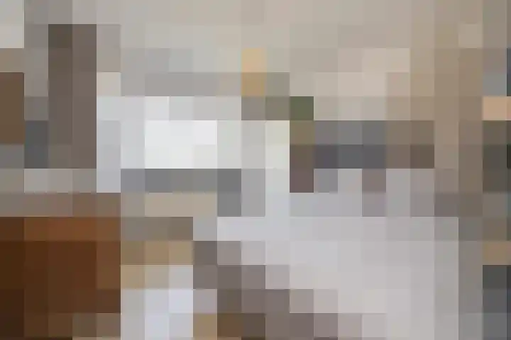 Schipluidenlaan 227 Tilburg thumbnail 19