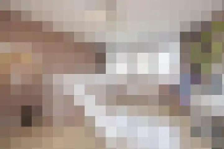 Schipluidenlaan 227 Tilburg thumbnail 20