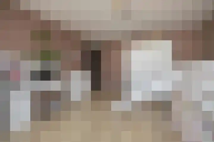 Schipluidenlaan 227 Tilburg thumbnail 21