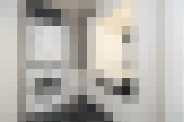 Schipluidenlaan 227 Tilburg thumbnail 24