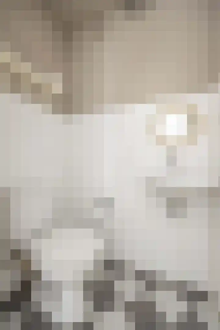 Schipluidenlaan 227 Tilburg thumbnail 25