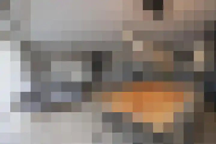 Schipluidenlaan 227 Tilburg thumbnail 6
