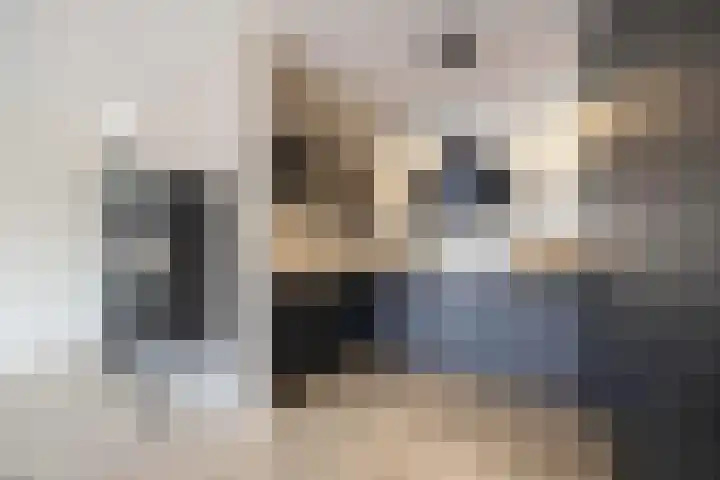 Schipluidenlaan 227 Tilburg thumbnail 8