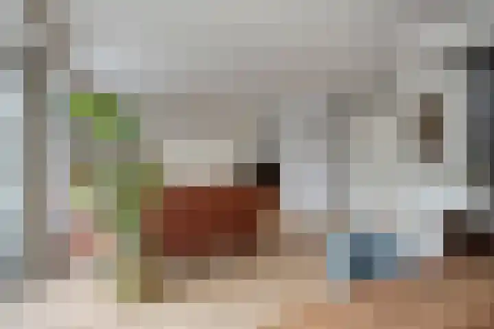Schipluidenlaan 235 Tilburg thumbnail 11