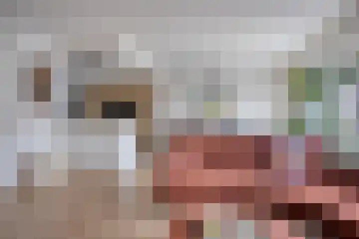Schipluidenlaan 235 Tilburg thumbnail 12