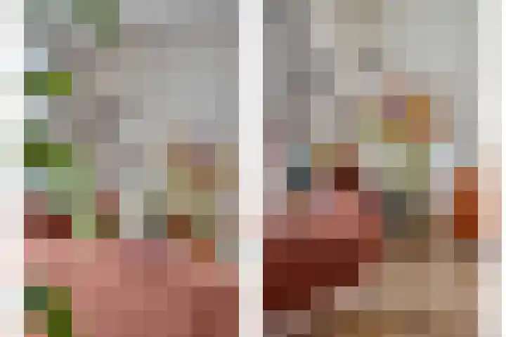 Schipluidenlaan 235 Tilburg thumbnail 13