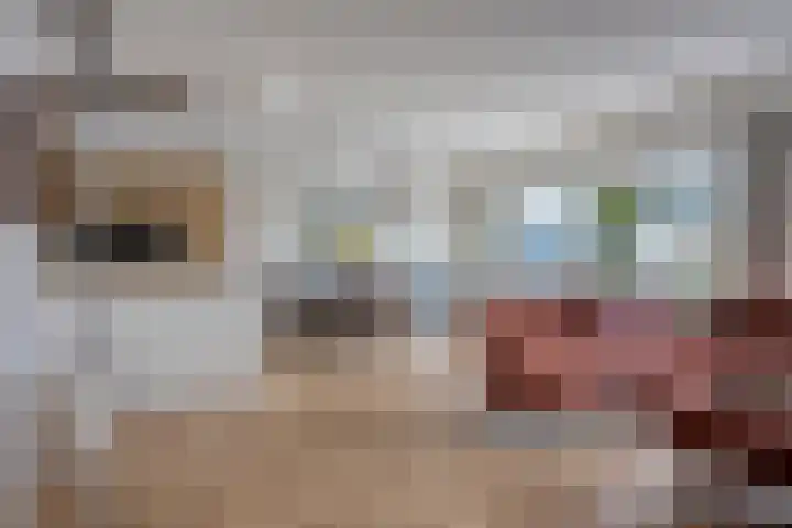 Schipluidenlaan 235 Tilburg thumbnail 15