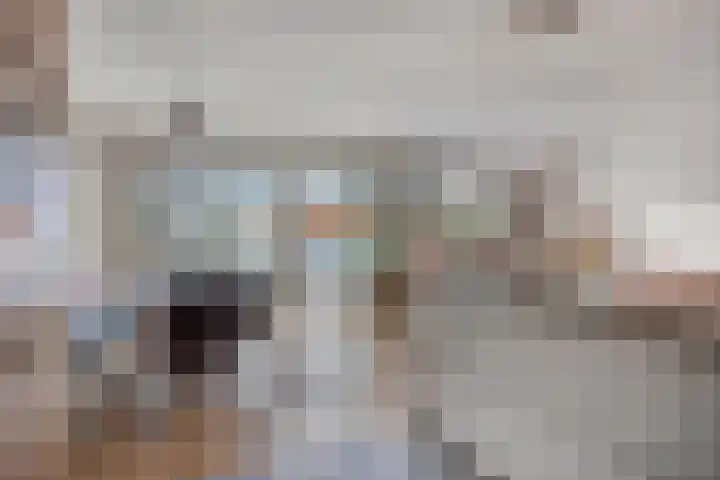 Schipluidenlaan 235 Tilburg thumbnail 21