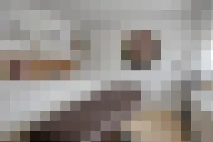 Schipluidenlaan 235 Tilburg thumbnail 27