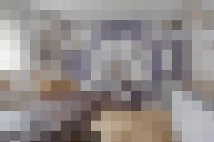 Schipluidenlaan 235 Tilburg thumbnail 29