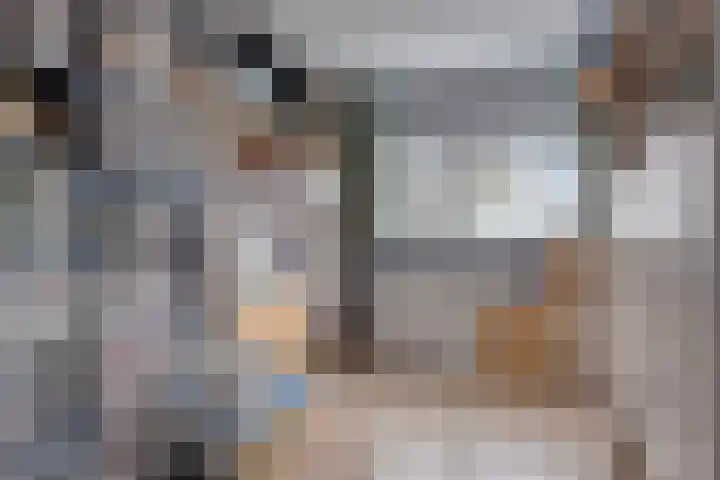 Schipluidenlaan 235 Tilburg thumbnail 36