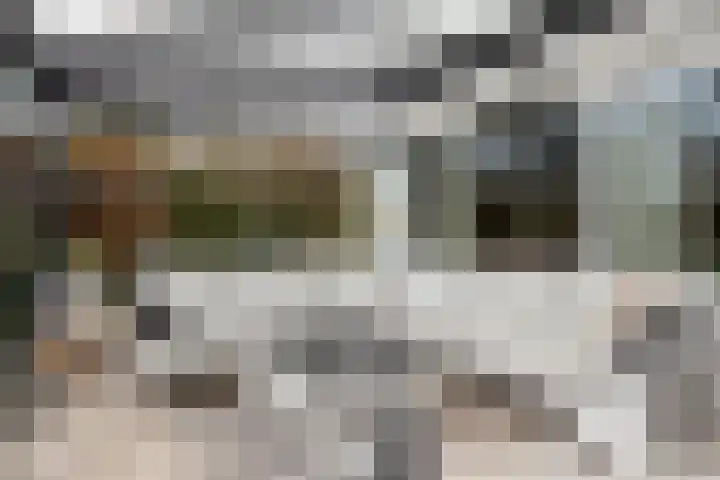 Schipluidenlaan 235 Tilburg thumbnail 40