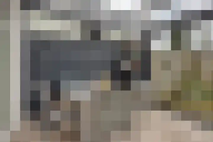 Schipluidenlaan 235 Tilburg thumbnail 42