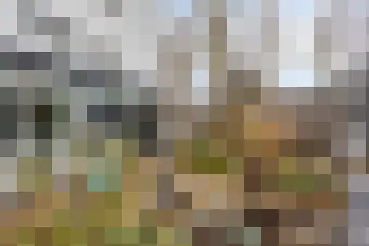 Schipluidenlaan 235 Tilburg thumbnail 44