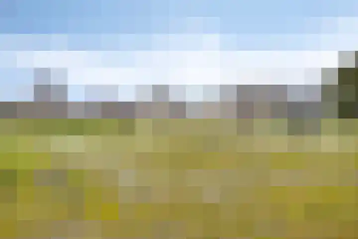 Schipluidenlaan 235 Tilburg thumbnail 49