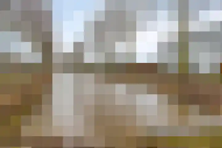 Schipluidenlaan 235 Tilburg thumbnail 50
