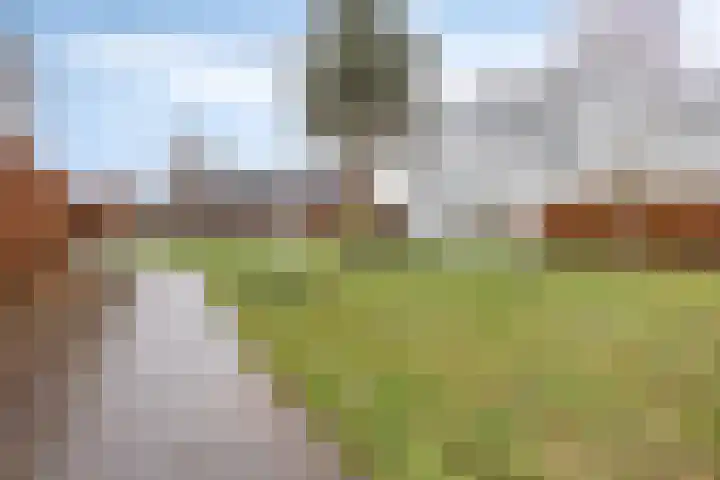 Schipluidenlaan 235 Tilburg thumbnail 6